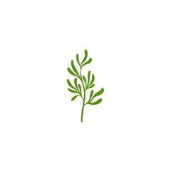 Rosemary Branch Icon Illustration 