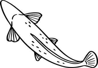 top view fish drawing.