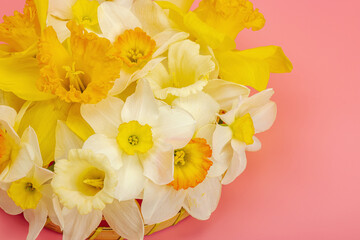Festive spring composition with assorted blooming narcissus and homemade wicker basket