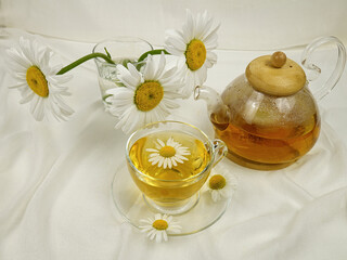 Glass teapot and glass cup with chamomile tea, fresh chamomiles in a transparent glass vase are...