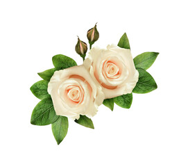 Naklejka premium White rose flowers and green leaves in a floral corner arrangement isolated on white or transparent background