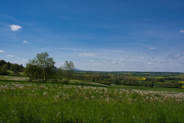 Blick ins frühlingshafte Maintal Oberfranken Deutschland