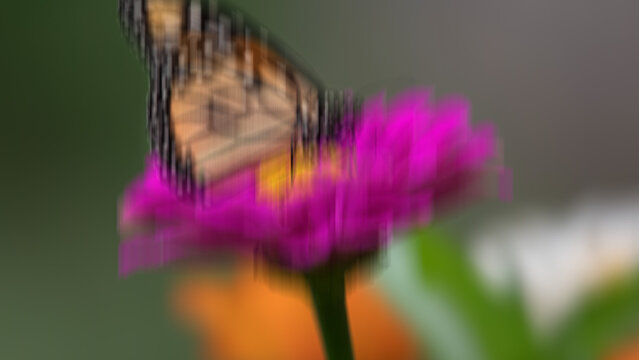 Bass Shake Motion Effect 4k 1:1 16:9 9:16