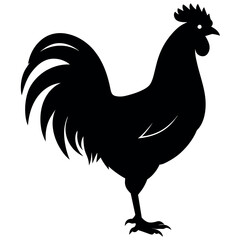 a rooster vector silhouette, white background