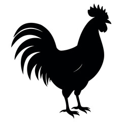 a rooster vector silhouette, white background
