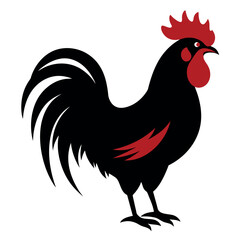 a rooster vector silhouette, white background