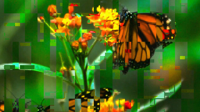 Signal Error Motion Effect 4k 1:1 16:9 9:16