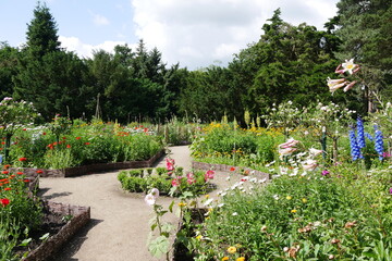 Bunte Blumen im blühenden Bauerngarten in der Norddeutschen Gartenschau