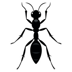 the ant vector silhouette white background