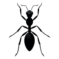 the ant vector silhouette white background