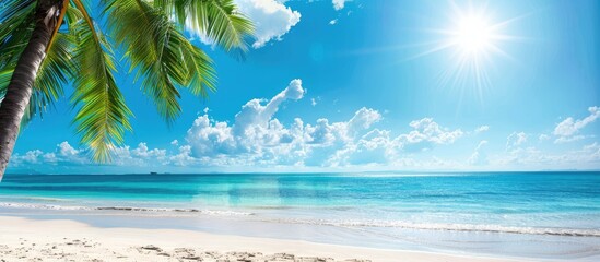 Sunny blue sky above a tropical beach