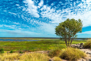 Fototapeta premium View from Ubirr Rock, Kakadu National Park, Northern Territory, Australia
