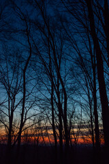 Sunset in Belgrad Forest