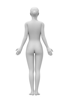 woman body, human anatomy pose, art & medical science