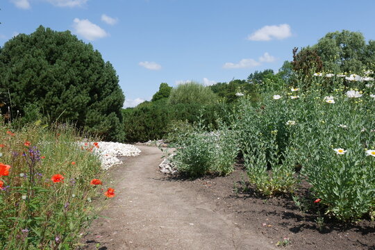 Sommerblumen in der Norddeutschen Gartenschau