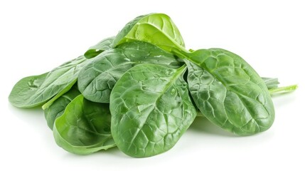 Fototapeta premium Spinach isolated white background 