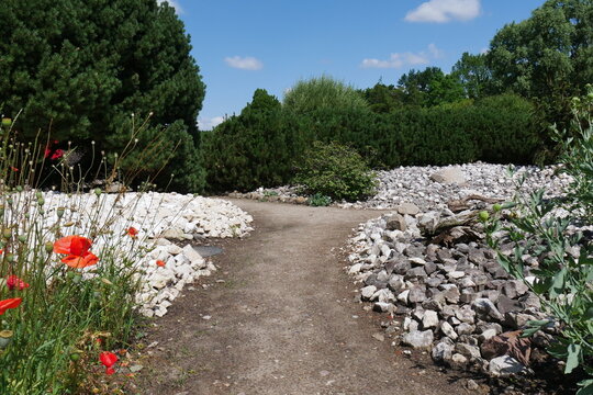 Gartenweg durch Kiesgarten bzw Trockengarten