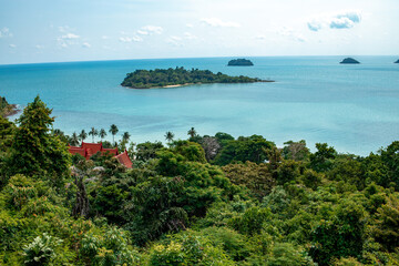 view of the sea from above. beautiful ocean. ship. summer. tree crowns