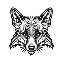 Red fox illustration, fox head logo vector illustration with white background