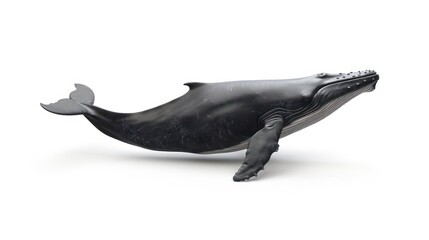 Fototapeta premium Whale isolated white background