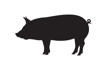 Pig on a white, pig silhouette vector illustration white background 