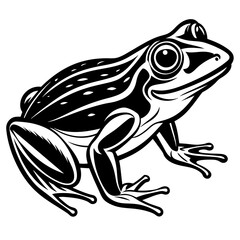 frog illustration vector