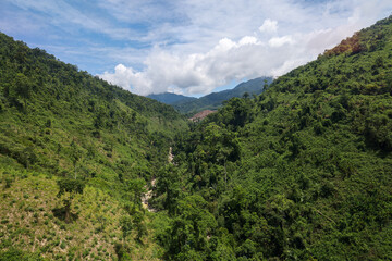 Obraz premium the tree mountain view before from banahill cable car