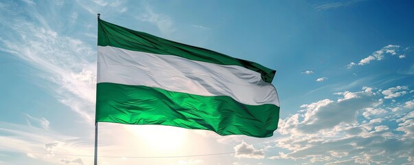 Nigeria flag with a blue sky background