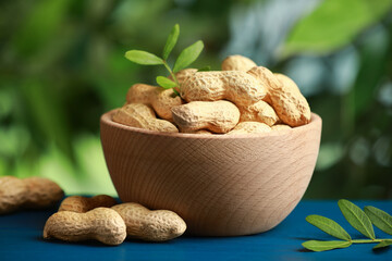 Fresh unpeeled peanuts in bowl and twigs on blue wooden table against blurred background