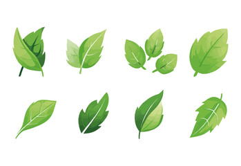 vector set of different isolated green leaves icon white background 