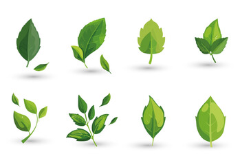 vector set of different isolated green leaves icon white background 