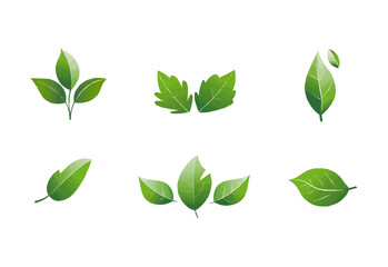 vector set of different isolated green leaves icon white background 