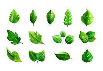 vector set of different isolated green leaves icon white background 
