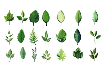 vector set of different isolated green leaves icon white background 