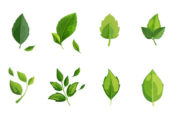 vector set of different isolated green leaves icon white background 