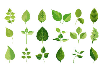 Obraz premium vector set of different isolated green leaves icon white background 