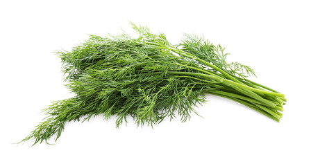 Fresh green dill branches isolated on white