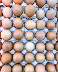 top view photo of chicken eggs neatly arranged in a cardboard box