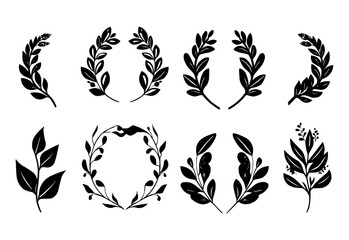 Set of hand drawn vector circular decorative elements for your design