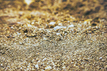 sand and shells, gold sand