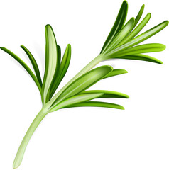 Rosemary Sprig