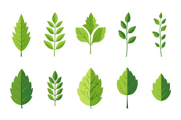 flat gradient icon set of leaves green color theme