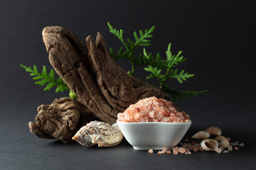 Pink himalayan salt with snags, green thuja branches, and seashells.