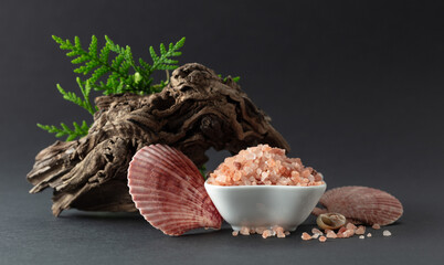 Pink himalayan salt with snags, green thuja branches, and seashells.