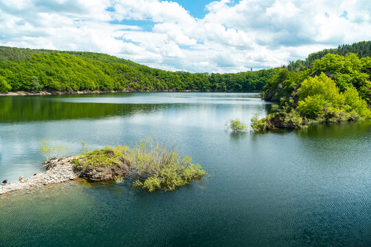 Blick auf die Urft und Burg Vogelsang im Nationalpark Eifel im Sommer - Urftsee	
