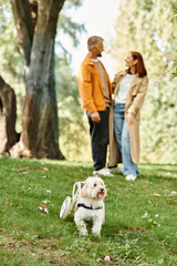 Adult couple in casual attire standing together with their white dog.