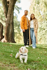 A man and a woman stand in grass, bonding with their dog.