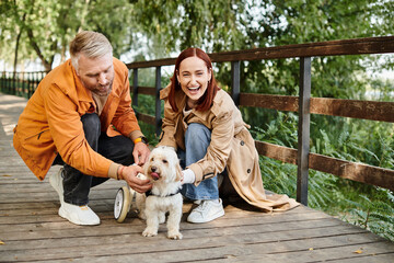A man and woman in casual attire petting a dog while standing on a bridge in a park.