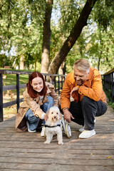 Adult couple tenderly petting a small dog during a leisurely walk in the park.