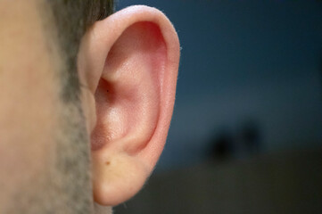 Close up man's ear on white. Closeup view of man, focus on ear